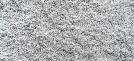 Why Low-Moisture Carpet Cleaning Is Better Than Steam for Amarillo Homes