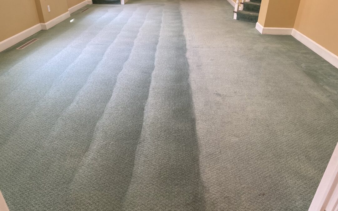 Spring Carpet Cleaning Tips for a Fantastically Fresh Home